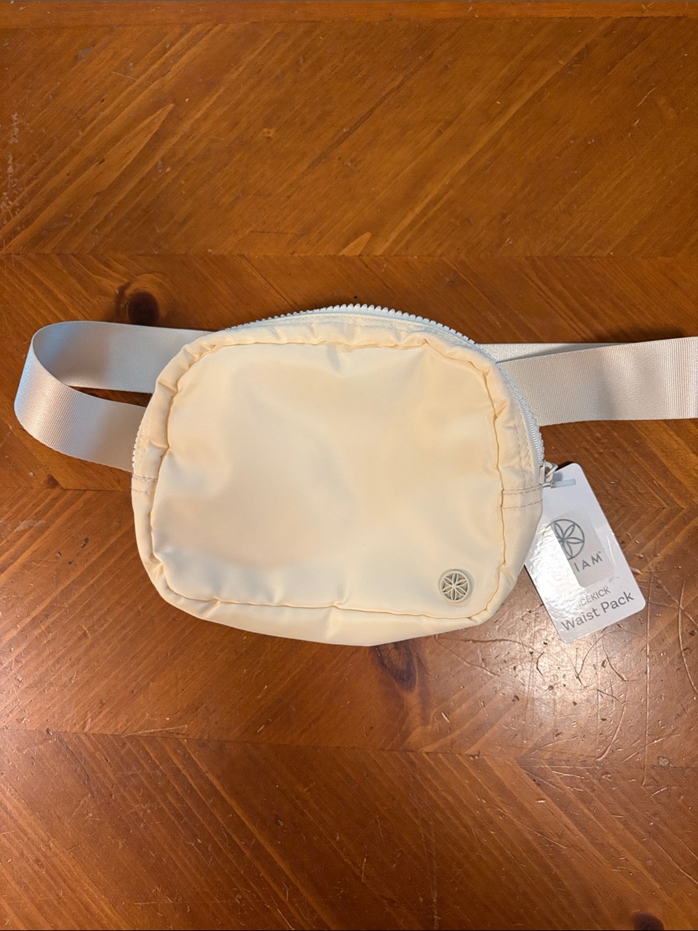 GAIAM Waist Pack with Silver Logo